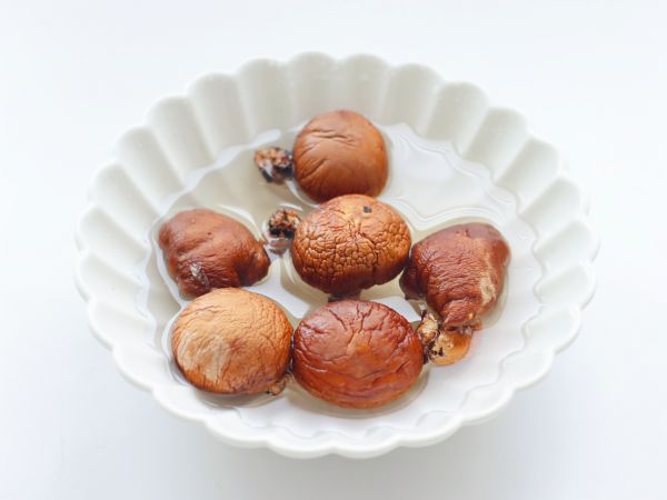 小白菜豆腐盒子