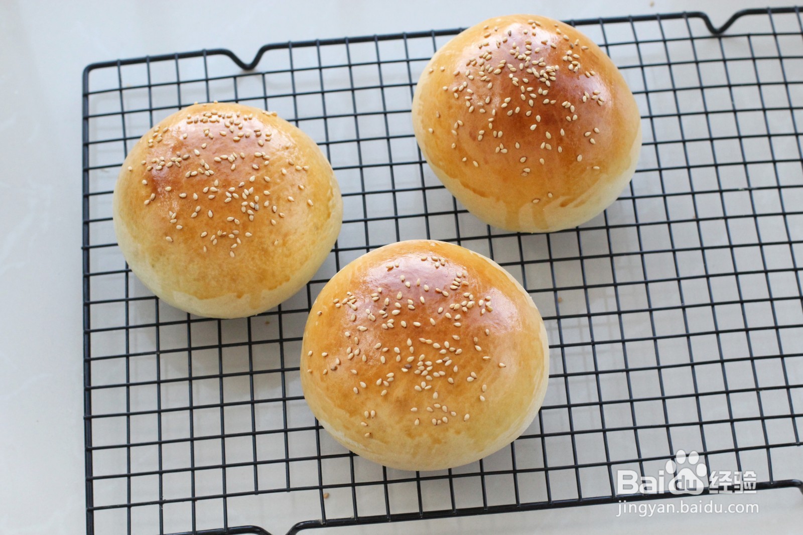 怎么自制汉堡胚