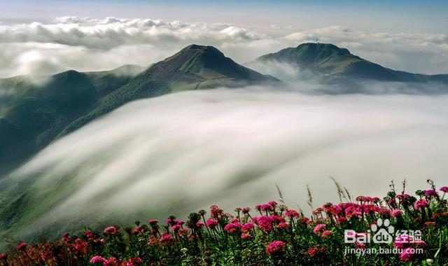 中国凉都避暑可以去的地方，年均气温只有15度。