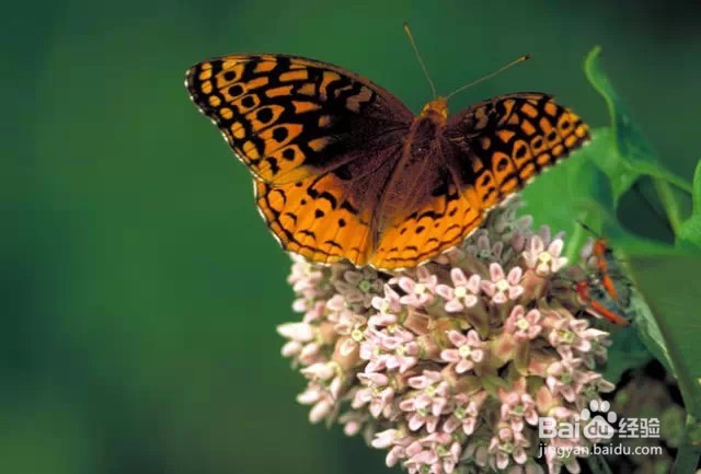 在生活中最实在的几句话