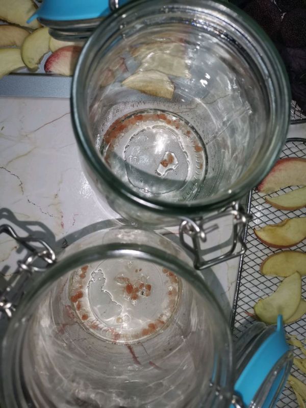 紫苏杨梅桃子姜