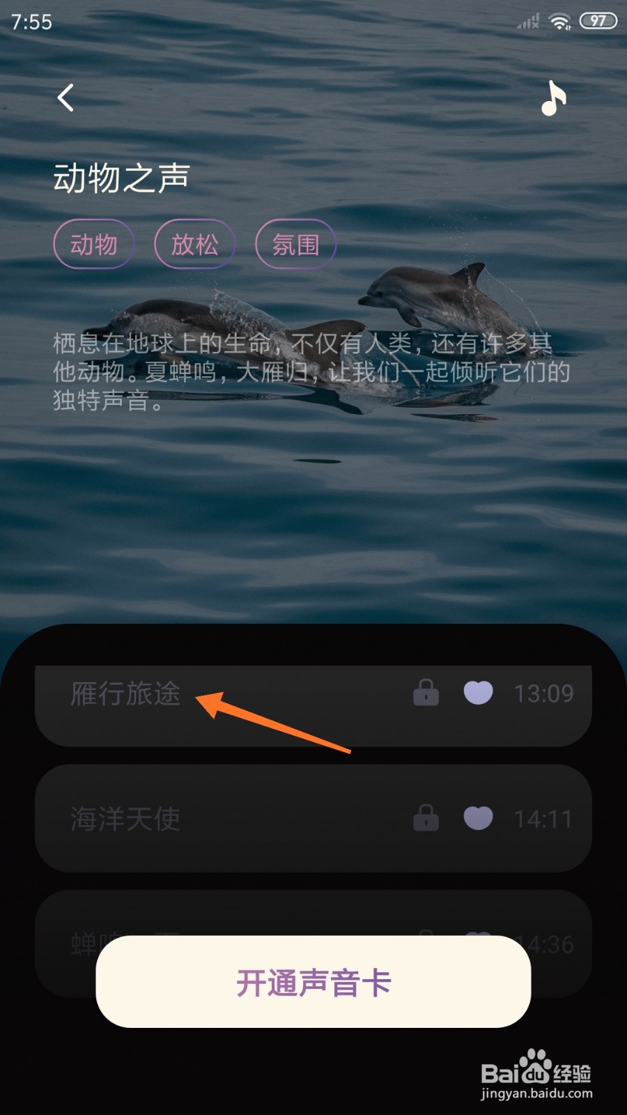 樱桃睡眠中怎么播放雁行旅途