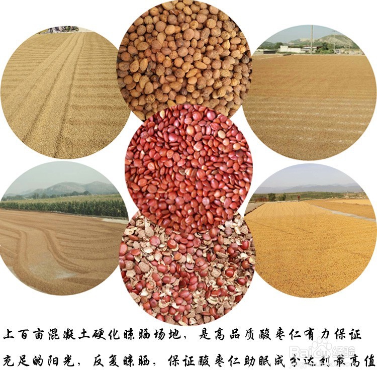 太行山酸枣仁，正宗产地，治疗失眠效果好