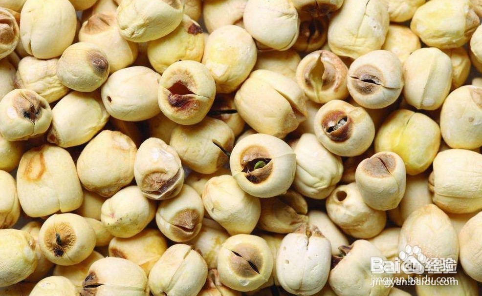 芷柏荷汤怎么做