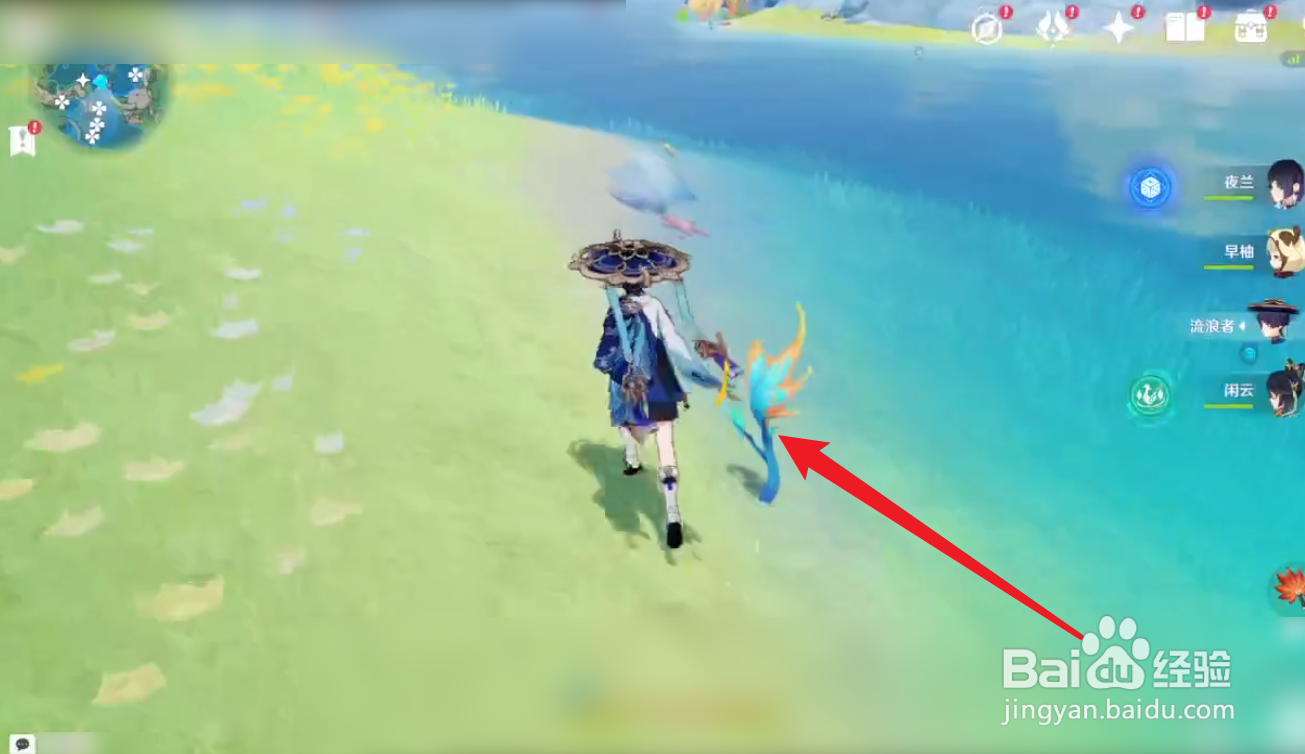 原神纳塔地图探索攻略