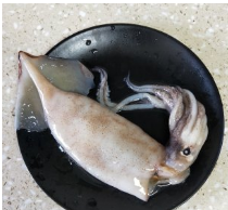 鱿鱼炒蒜苔的做法