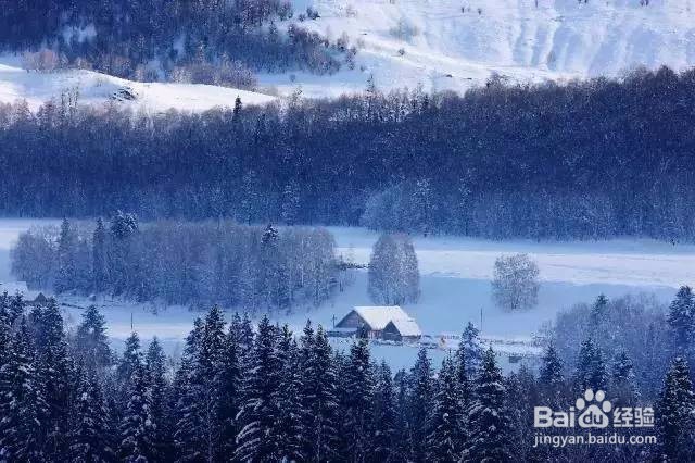 喀纳斯冬季旅游全攻略