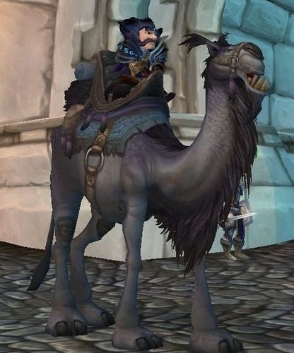 怎样获得魔兽世界稀有银灰色骆驼