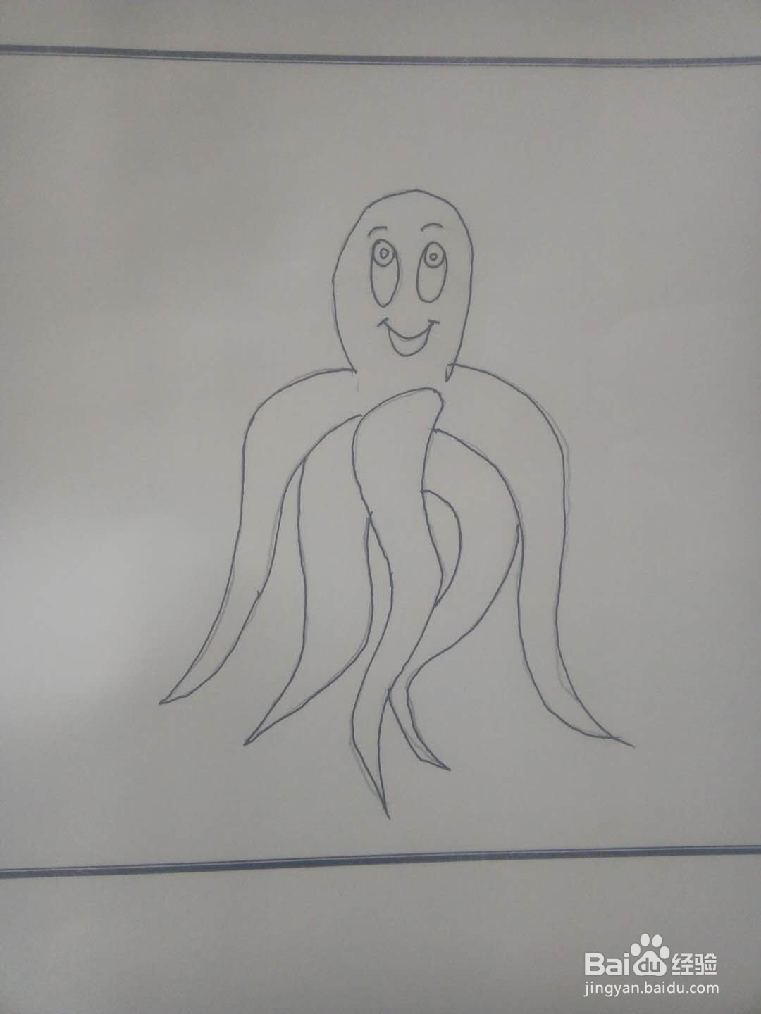 海洋生物怎么画