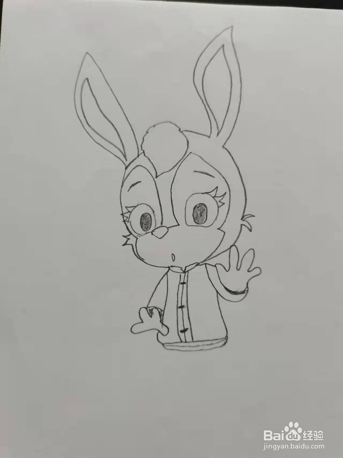 动画人物蓝兔怎么画