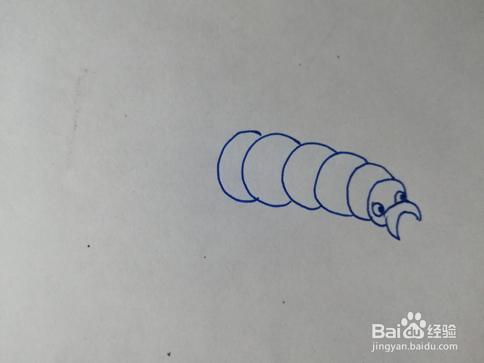 卷心菜毛虫简笔画