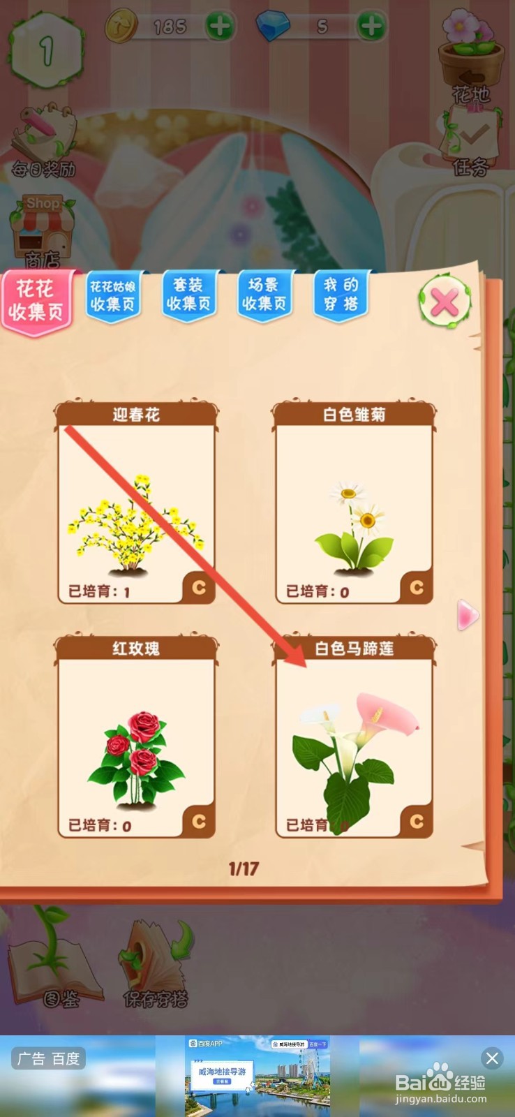 花花姑娘如何查看白色马蹄莲的【生长速度】
