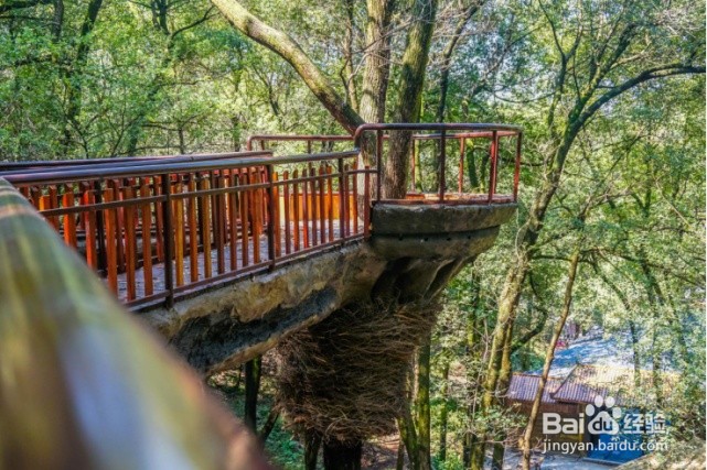 长沙国庆哪里好玩?长沙国庆去哪玩?