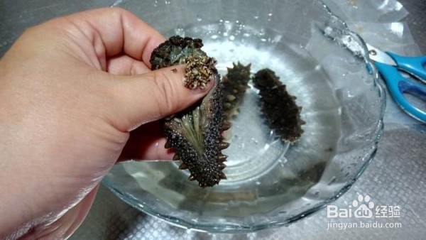 海参的表皮如何清洗干净