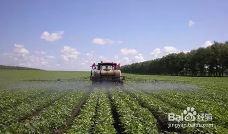 以氯化铵为氮源肥料，全部施用化肥的施肥方法