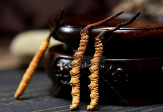 冬虫夏草怎么食用 冬虫夏草的吃法技巧