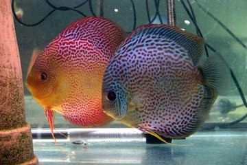 怎么避免意外中毒?