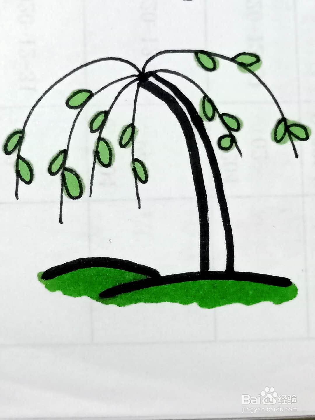 怎样画柳树