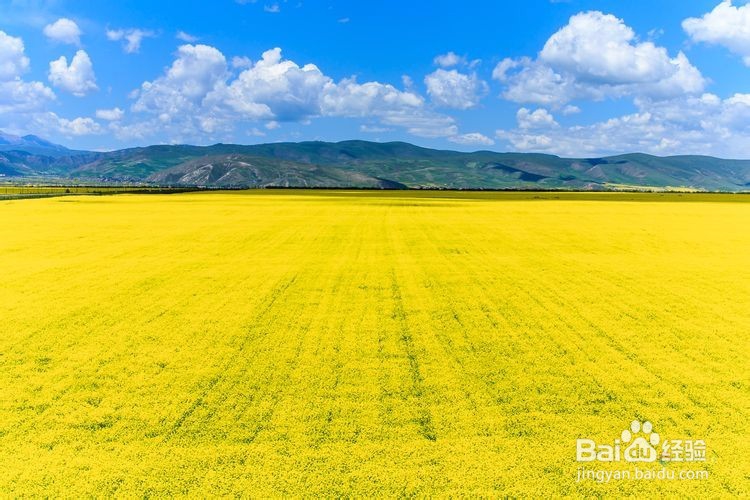 怎么体现一个人的教养