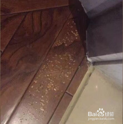 家中长出蘑菇该如何消灭?