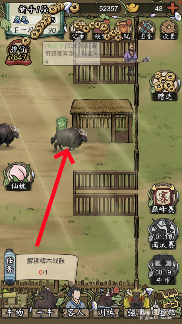 叫我养牛王怎么放生牛场的长毛牛