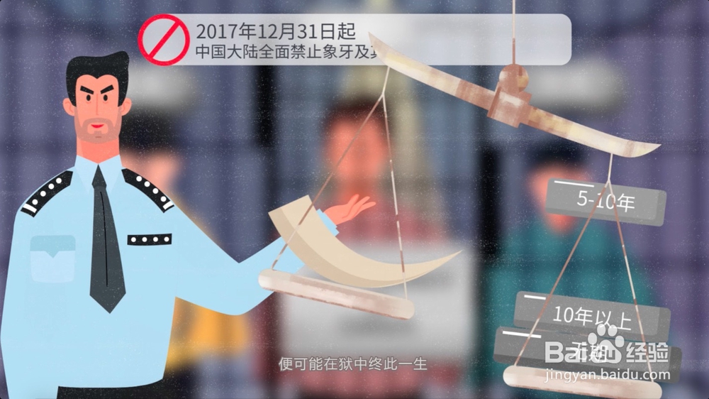 怎样正确保护野生动物