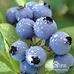 最有营养的食物，多吃益处多多