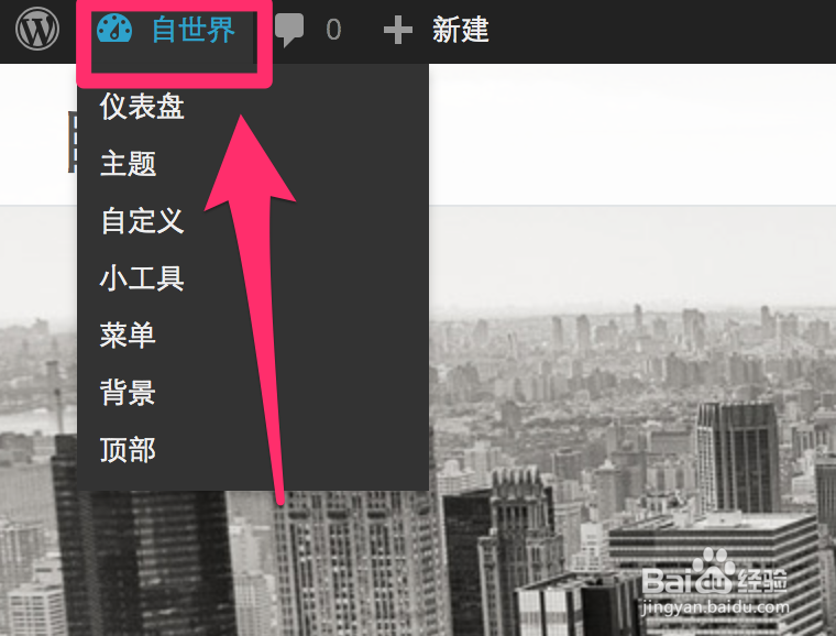 如何删除Wordpress中安装并已经启用的插件