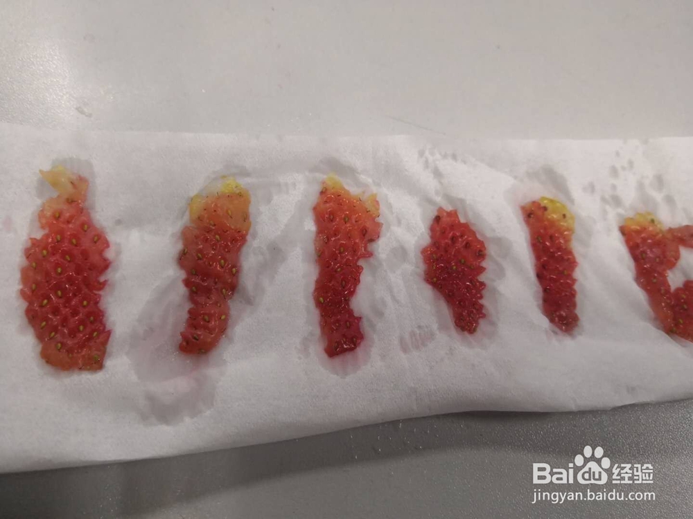 如何种植草莓视频