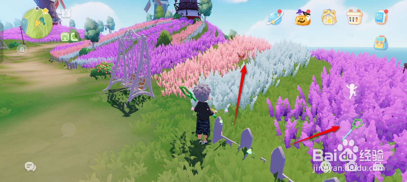 心动小镇孔雀蛱蝶怎么捉