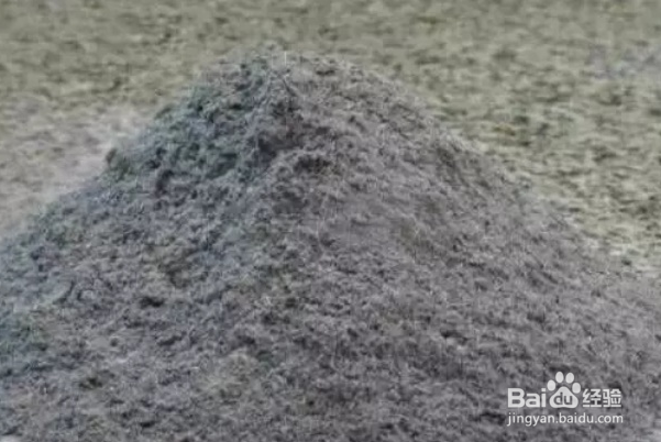 如何在阳台养百合