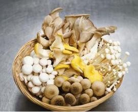 什么是乳腺癌