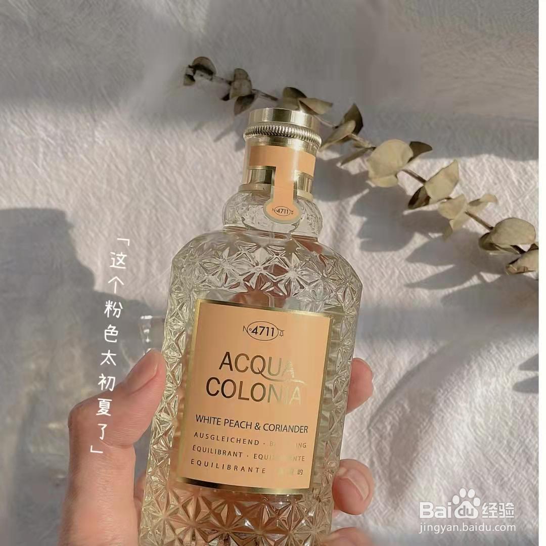 少女感满满，白桃芫荽