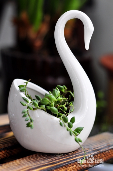 【孕期食谱】番茄烧排骨做法,秘制番茄烧排骨