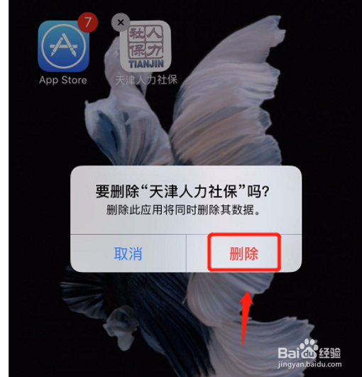 苹果手机无法登录天津人力社保怎么办#百元挑战#
