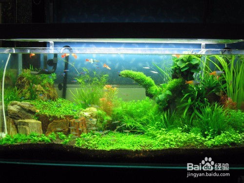 如何给家里加湿