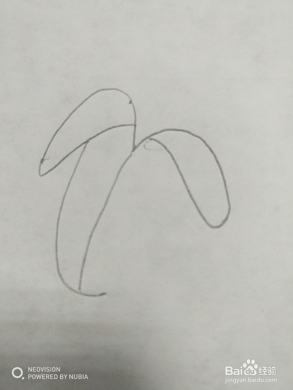 剥开的香蕉怎么画