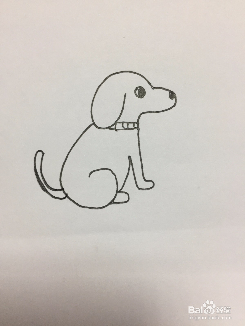 狗狗的简笔画画法