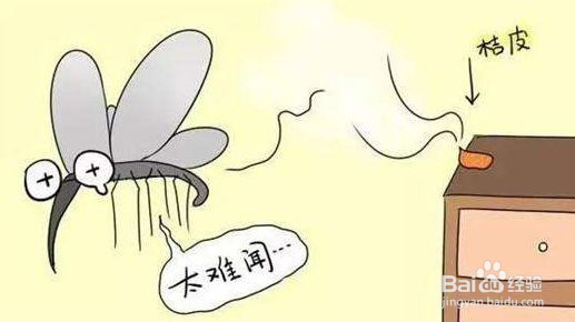 如何改善自己的体质让蚊虫远离