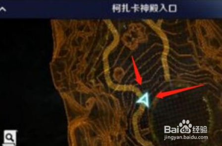 黑色沙漠手游硕大而特别的花位置