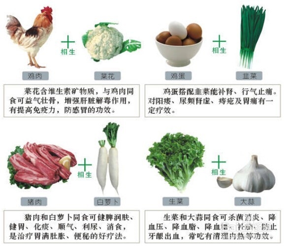 生活知识：[1]饮食攻略：食物相生相克对策