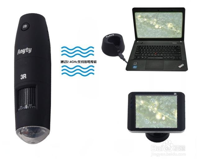 如何利用气泡鉴定瓷器