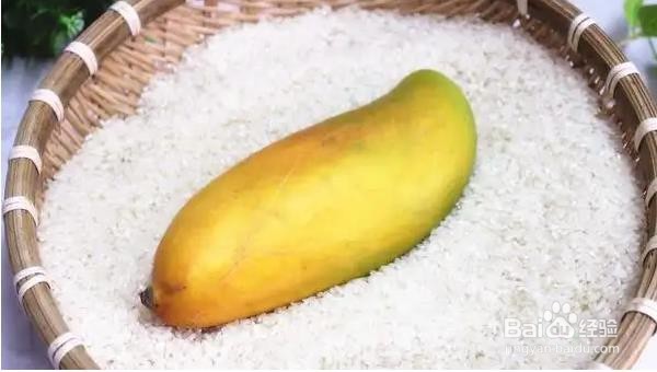 网购芒果还是生的怎么办？芒果如何催熟?