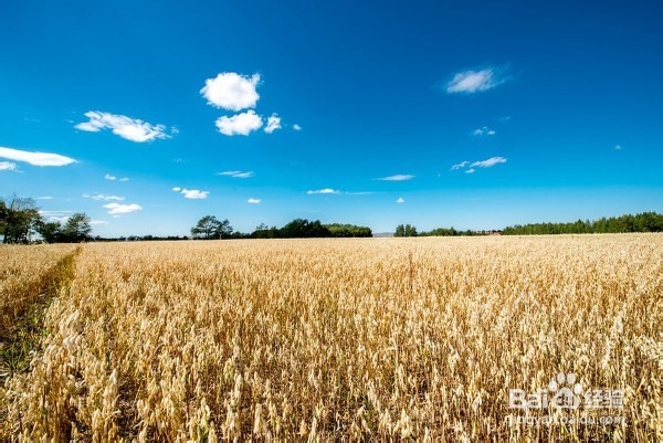 经济信息资源开发与利用：[28]复习总结二十八