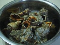 凉拌海螺肉的做法