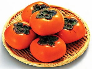 螃蟹柿子怎么解毒