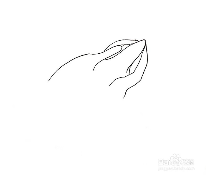 100种水果中火龙果怎么画