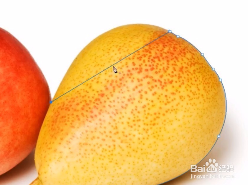 ps软件中的钢笔工具有详细操作步骤吗?