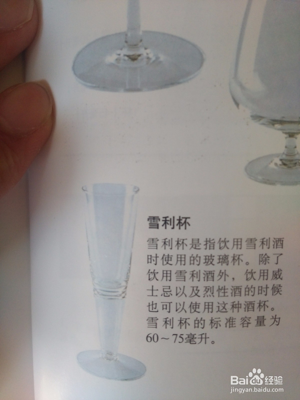 酒杯的分类——调酒师带你入门