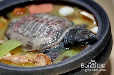 怀孕时的准备，以及忌讳容易流产食物;